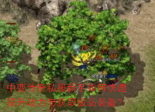 �б䴫��˽��������ο�������ս�����ȡ��Ʒװ����