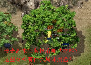 ���渱�����������Щ���ϣ���Щ������ʲô������;��