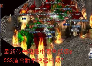 ���´���˽������Щ�ͼ�BOSS�ʺ����ֿ���ˢȡ��