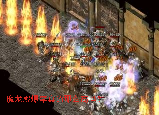 魔龙殿爆率真的那么高吗? 魔龙殿爆率真的那么高吗?