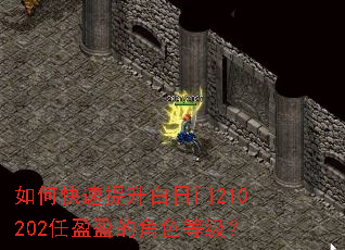 如何快速提升白日门210202任盈盈的角色等级? 如何快速提升白日门210202任盈盈的角色等级?