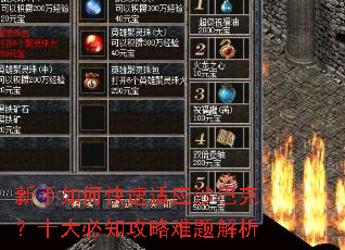 新手如何快速适应沙巴克?十大必知攻略难题解析 新手如何快速适应沙巴克?十大必知攻略难题解析