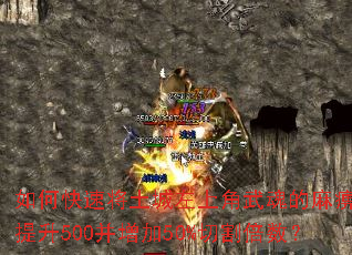 如何快速将土城左上角武魂的麻痹等级提升500并增加50%切割倍数? 如何快速将土城左上角武魂的麻痹等级提升500并增加50%切割倍数?