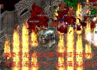 血染苍龙新服如何快速提升战力?血海浮屠副本有哪些通关技巧?逆天屠魔装备该怎么获取? 血染苍龙新服如何快速提升战力?血海浮屠副本有哪些通关技巧?逆天屠魔装备该怎么获取?