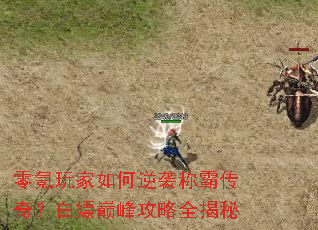 零氪玩家如何逆袭称霸传奇?白嫖巅峰攻略全揭秘 零氪玩家如何逆袭称霸传奇?白嫖巅峰攻略全揭秘