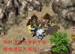 苍月迷失传奇新手如何快速提升等级? 苍月迷失传奇新手如何快速提升等级?