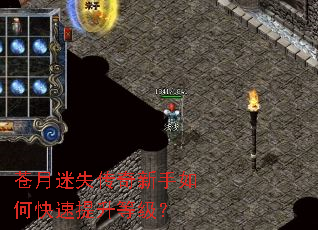 苍月迷失传奇新手如何快速提升等级? 苍月迷失传奇新手如何快速提升等级?