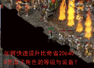 如何快速提升比奇省206400无涯子角色的等级与装备? 如何快速提升比奇省206400无涯子角色的等级与装备?