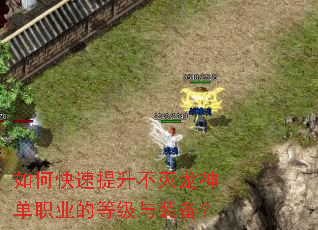 如何快速提升不灭龙神单职业的等级与装备? 如何快速提升不灭龙神单职业的等级与装备?