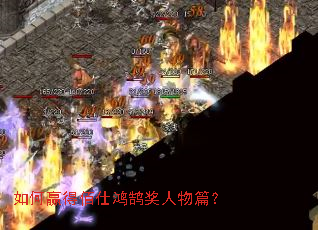 ���Ӯ�ð��˺���������ƪ��