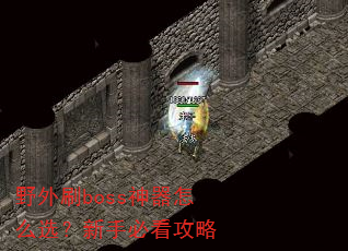 Ұ��ˢboss������ôѡ�����ֱؿ�����