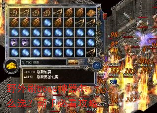 Ұ��ˢboss������ôѡ�����ֱؿ�����