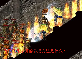 ���漫Ʒ��ʦ�����ɷ�����ʲô��