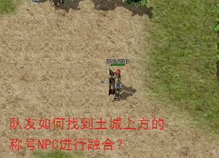 ��������ҵ������Ϸ��ĳƺ�NPC�����ںϣ�