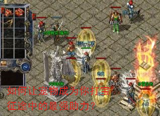 ����ó����Ϊ�����;�е���ǿ������