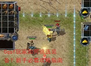 Cqsf��������ѡװ�������ֱؿ�����ָ��