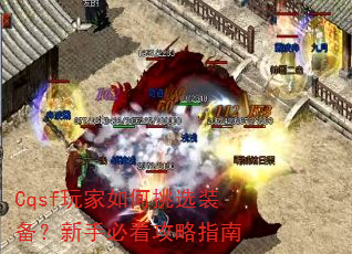 Cqsf��������ѡװ�������ֱؿ�����ָ��