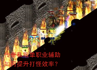 ����˽����ְҵ��������������Ч�ʣ�