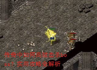 ��������θ�Ч��ɱboss��ʵ�ù���ȫ����