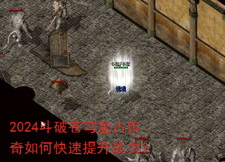 2024���Ʋ�񷸴�Ŵ�����ο�������ս����