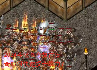 2024���Ʋ�񷸴�Ŵ�����ο�������ս����