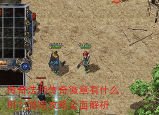 ���淨ʦ���������ʲô�ã���Ϸ����ȫ�����