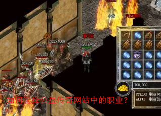 ���ѡ���洫����վ�е�ְҵ��