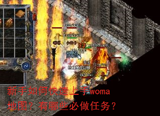 ������ο�������woma��ͼ������Щ��������
