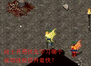 սʿ��������ѧϰ�ĸ���������������죿
