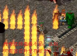 ���淨ʦѪ�����㣬�������Ч��������������
