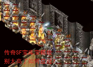 ����SF���ⱦ�伶��̫�������Ӧ�ԣ�